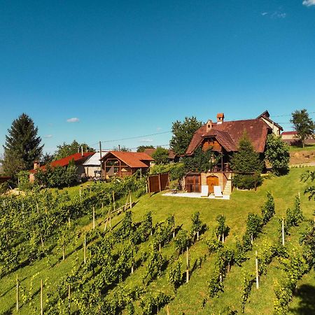Holiday Home Wine & Relax Sveti Martin Na Muri Gornji Koncovcak Экстерьер фото