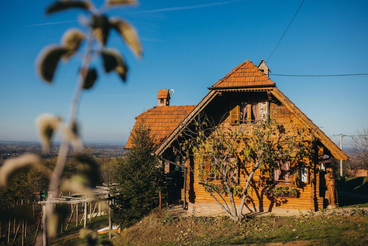 Holiday Home Wine & Relax Sveti Martin Na Muri Gornji Koncovcak Экстерьер фото