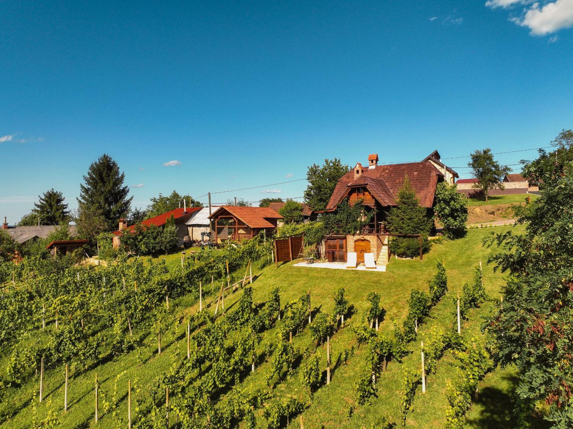 Holiday Home Wine & Relax Sveti Martin Na Muri Gornji Koncovcak Экстерьер фото