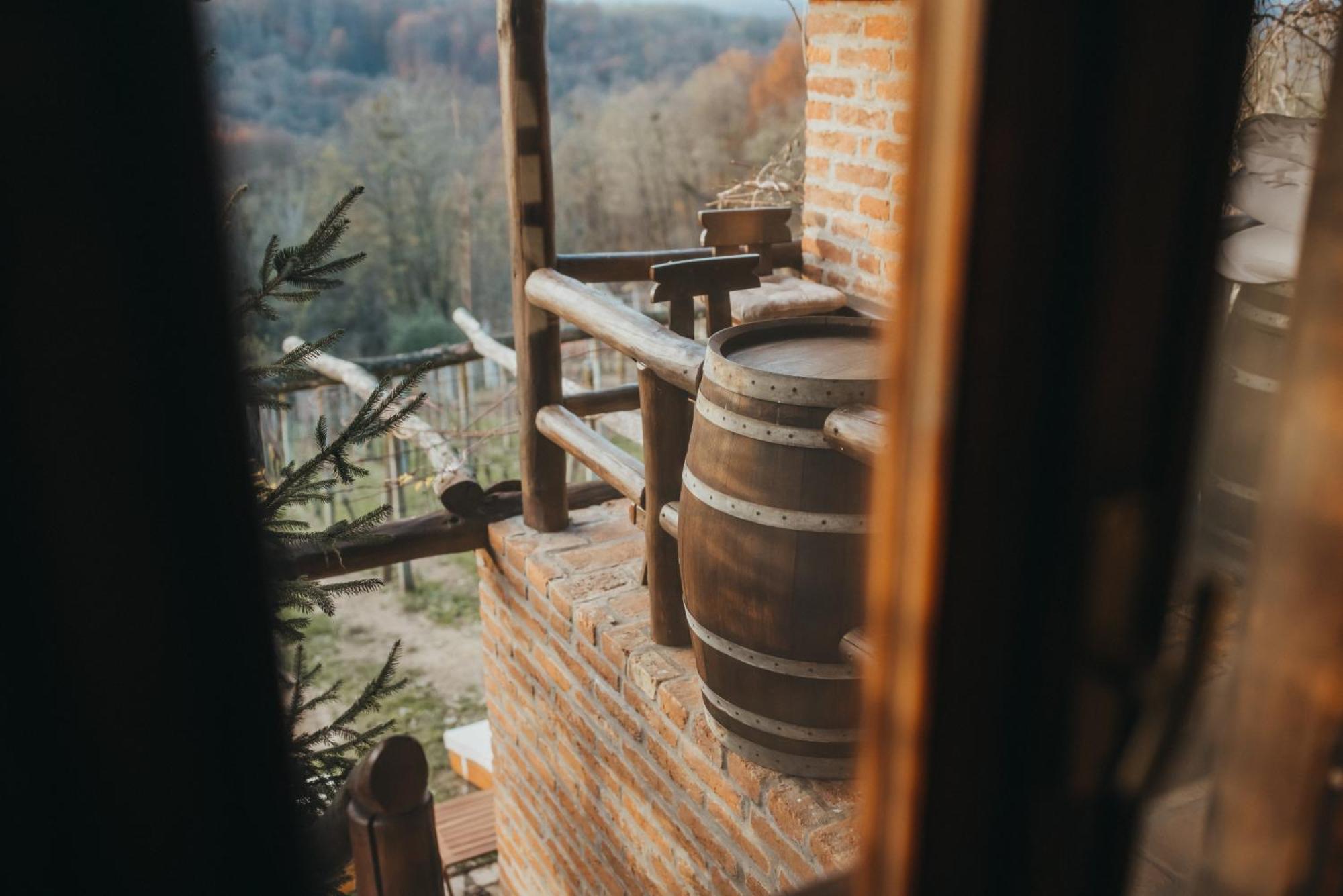 Holiday Home Wine & Relax Sveti Martin Na Muri Gornji Koncovcak Экстерьер фото
